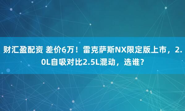 财汇盈配资 差价6万！雷克萨斯NX限定版上市，2.0L自吸对比2.5L混动，选谁？
